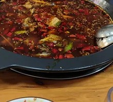 Fish and Bullfrog Unlimited