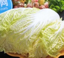 Napa cabbage