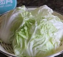 Chinese cabbage