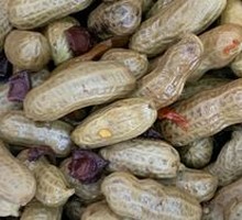 Boiled Peanuts