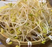 Bean sprouts