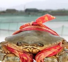 Vietnamese Crab with Meat