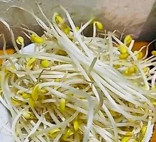 Bean sprouts