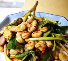 Cold-Pressed Broad Beans