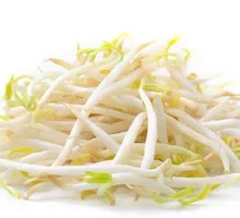 Mung Bean Sprouts