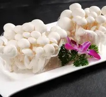 White Cloud Mushroom