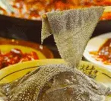 Fresh Beef Tripe from the Slaughterhouse