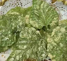 Fried Mulberry Leaves