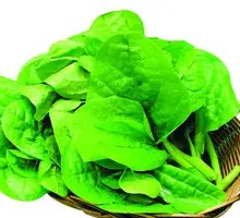 Black fungus vegetable