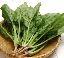 Spinach