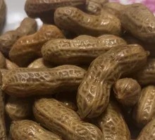 Braised Peanuts (Fragrant Spicy Flavor)