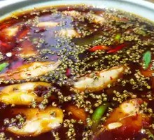 Green Pepper Catfish