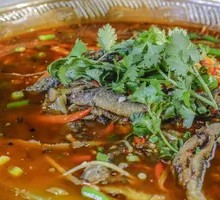 Freshly Killed Eel Stir-Fry