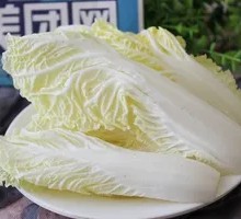 Fresh Chinese Cabbage