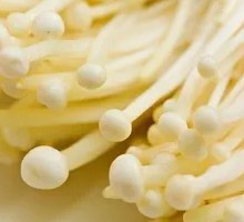 Enoki Mushroom