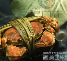 Male Yangcheng Lake Crab