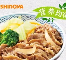 Fresh Vegetable Beef Rice