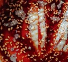 Liao's Chicken Rice Bowl