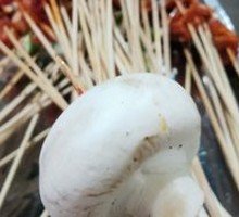 King Oyster Mushroom