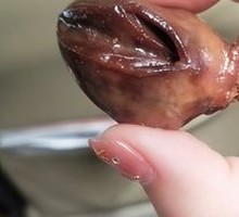 Goose Heart