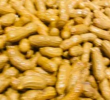 Boiled Peanuts