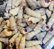 Spicy Drunk Snail Stir-fry