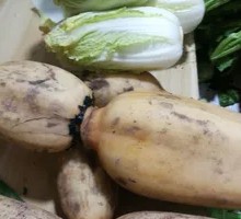 Fresh Lotus Root