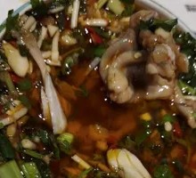 Signature Small Bull Frog