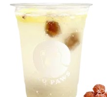 Plum Ice Lemon Infusion