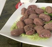 Rabbit Kidney