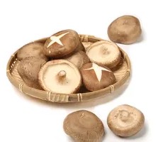 Shiitake Mushroom