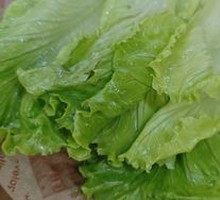 Lettuce