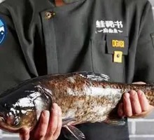 Deep-water Bighead Carp