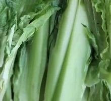 Mixed Asparagus Tips