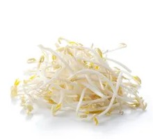 Bean sprouts