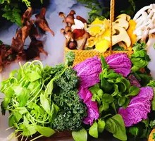 Wild Vegetable Basket