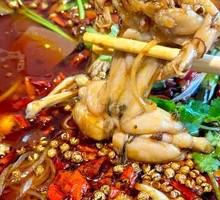 Fresh Frog Legs to Your Heart's Content