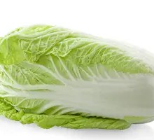 Napa cabbage