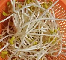 Bean sprouts