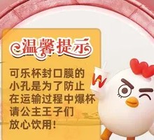 Worker's Essential Fried Chicken Bucket