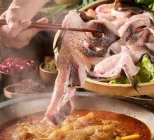 Fresh Fish and Frog Self-Service