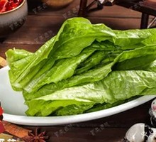 Oilseed lettuce