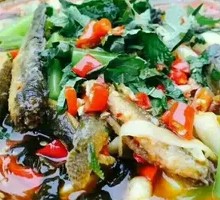 Sour Cabbage Wild Loach