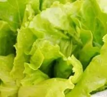 Lettuce