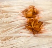 Enoki Mushroom