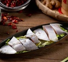 Spanish Mackerel