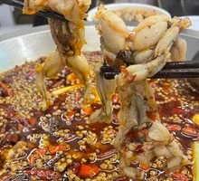 Rice Field Frog