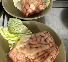 Premium Brain Dish