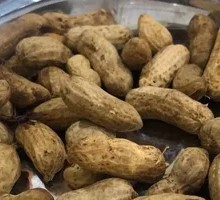 Peanut