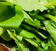 Pea Shoots